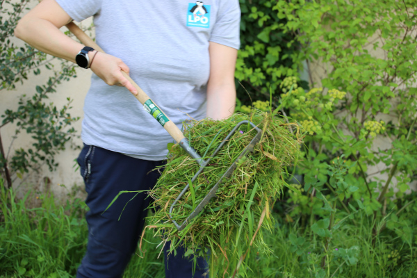 Ramassage des herbes de fauche © Nicolas Macaire / LPO